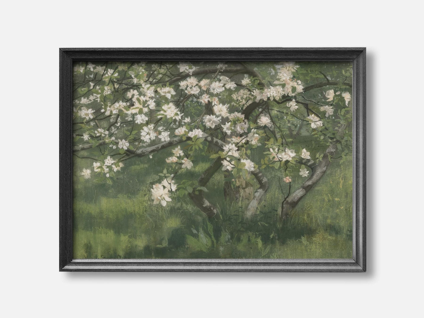 Apple Tree in Blossom mockup - A_spr47-V1-PC_F+B-SS_1-PS_5x7-C_def