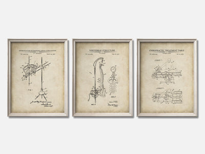 Chiropractic Patent Print Set of 3 mockup - A_t10095-V1-PC_F+O-SS_3-PS_11x14-C_par variant