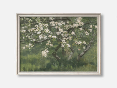 Apple Tree in Blossom mockup - A_spr47-V1-PC_F+O-SS_1-PS_5x7-C_def