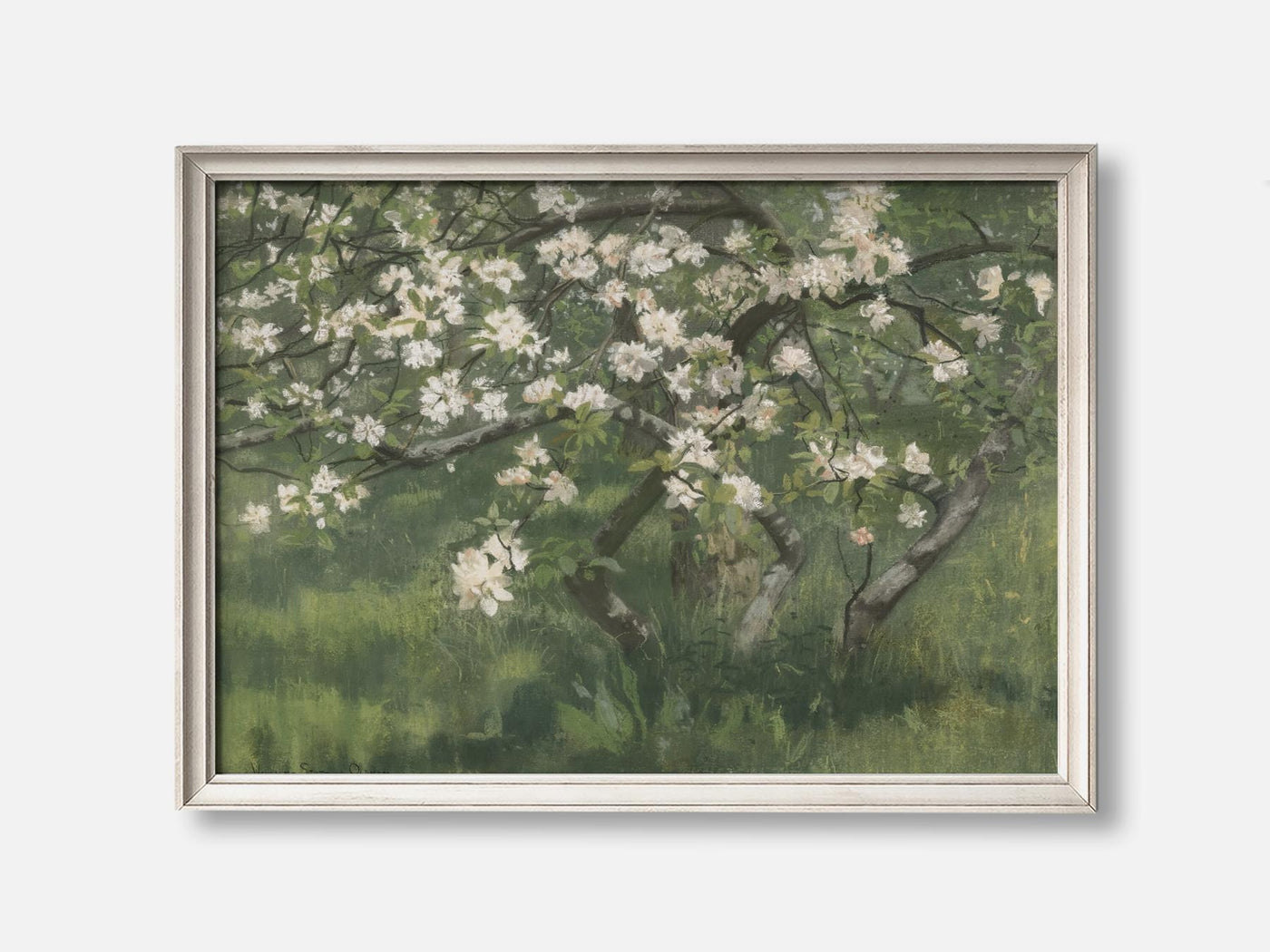 Apple Tree in Blossom mockup - A_spr47-V1-PC_F+O-SS_1-PS_5x7-C_def variant