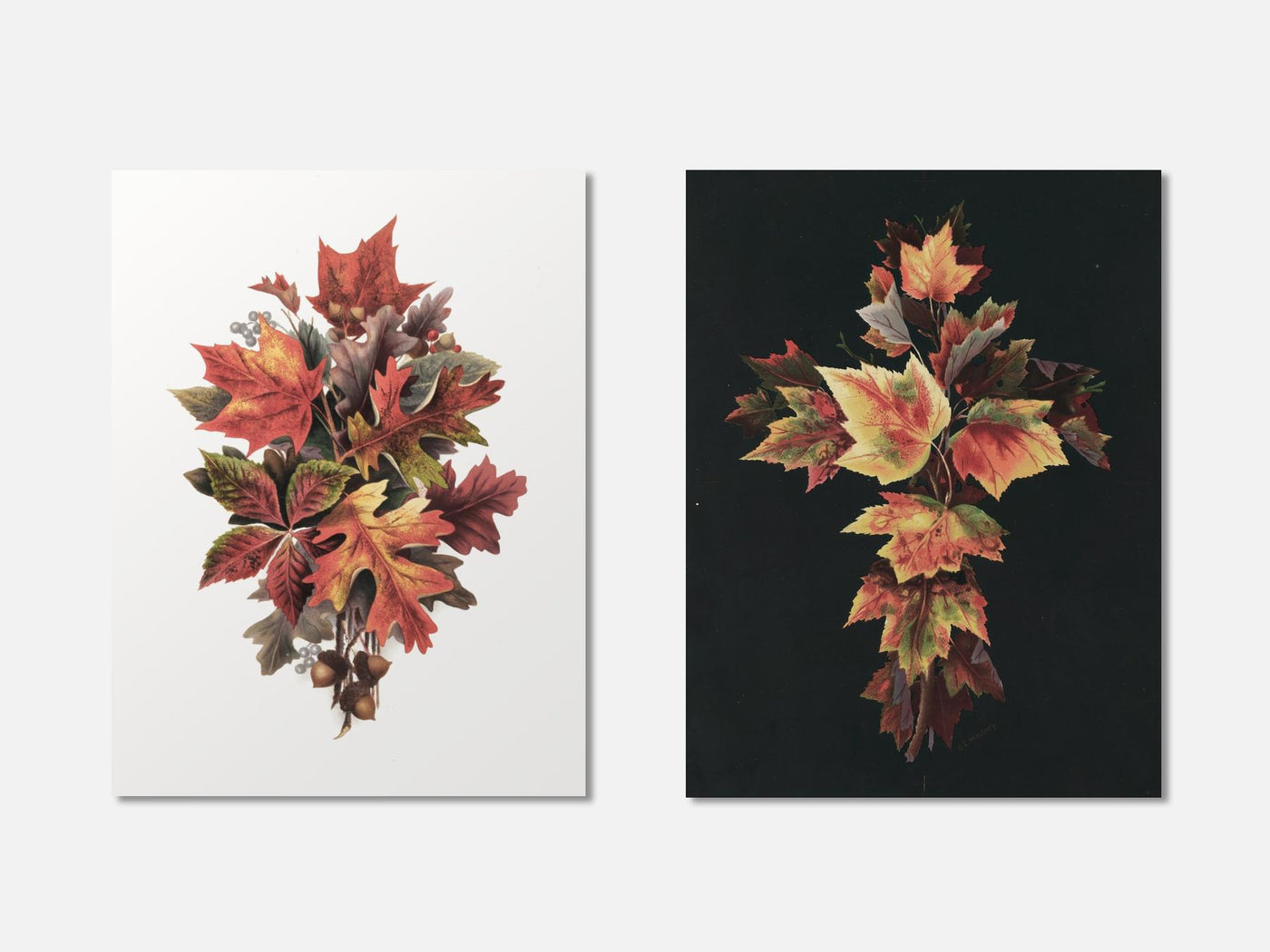 Autumn Leaves Set of 2 mockup - A_autumn1-V1-PC_AP-SS_2-PS_11x14-C_def variant