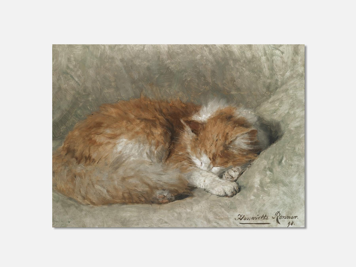 A Sleeping Cat mockup - A_n10-V1-PC_AP-SS_1-PS_5x7-C_def