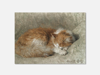 A Sleeping Cat mockup - A_n10-V1-PC_AP-SS_1-PS_5x7-C_def