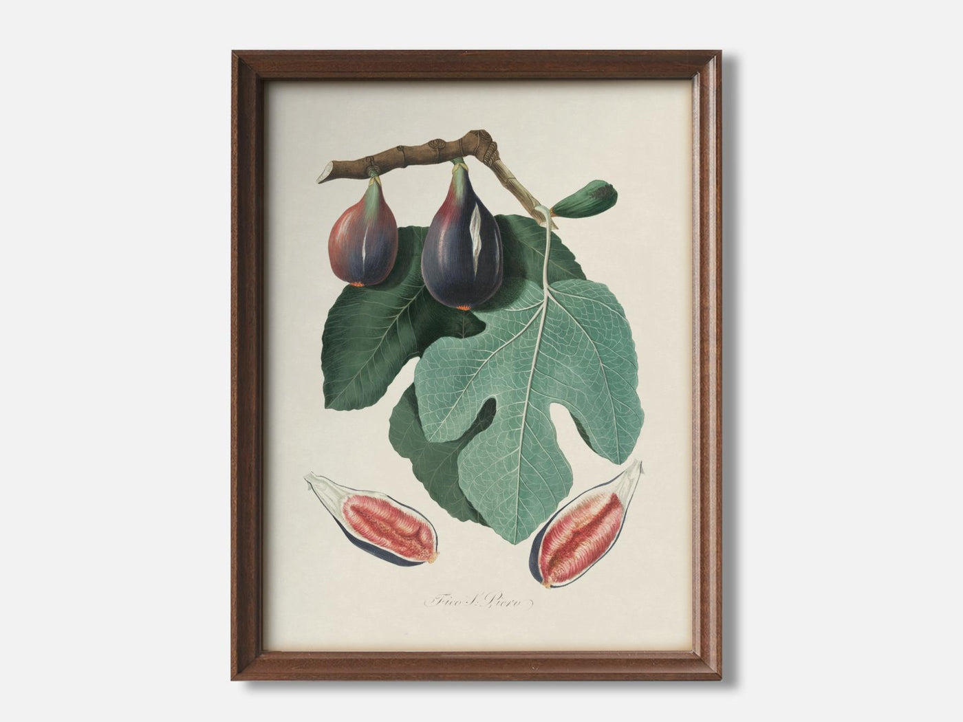 Fig from Pomona Italiana 1 Walnut - Light Parchment mockup