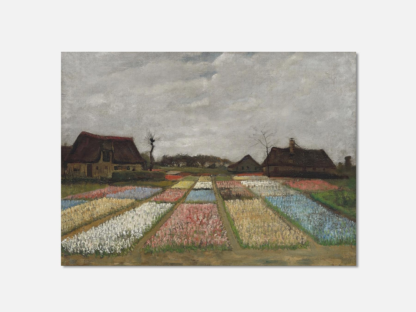 Flower Beds in Holland mockup - A_spr15-V1-PC_AP-SS_1-PS_5x7-C_def variant