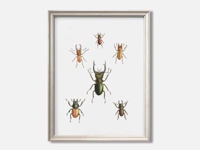 Stag Beetles mockup - A_h7-V1-PC_F+O-SS_1-PS_5x7-C_def variant