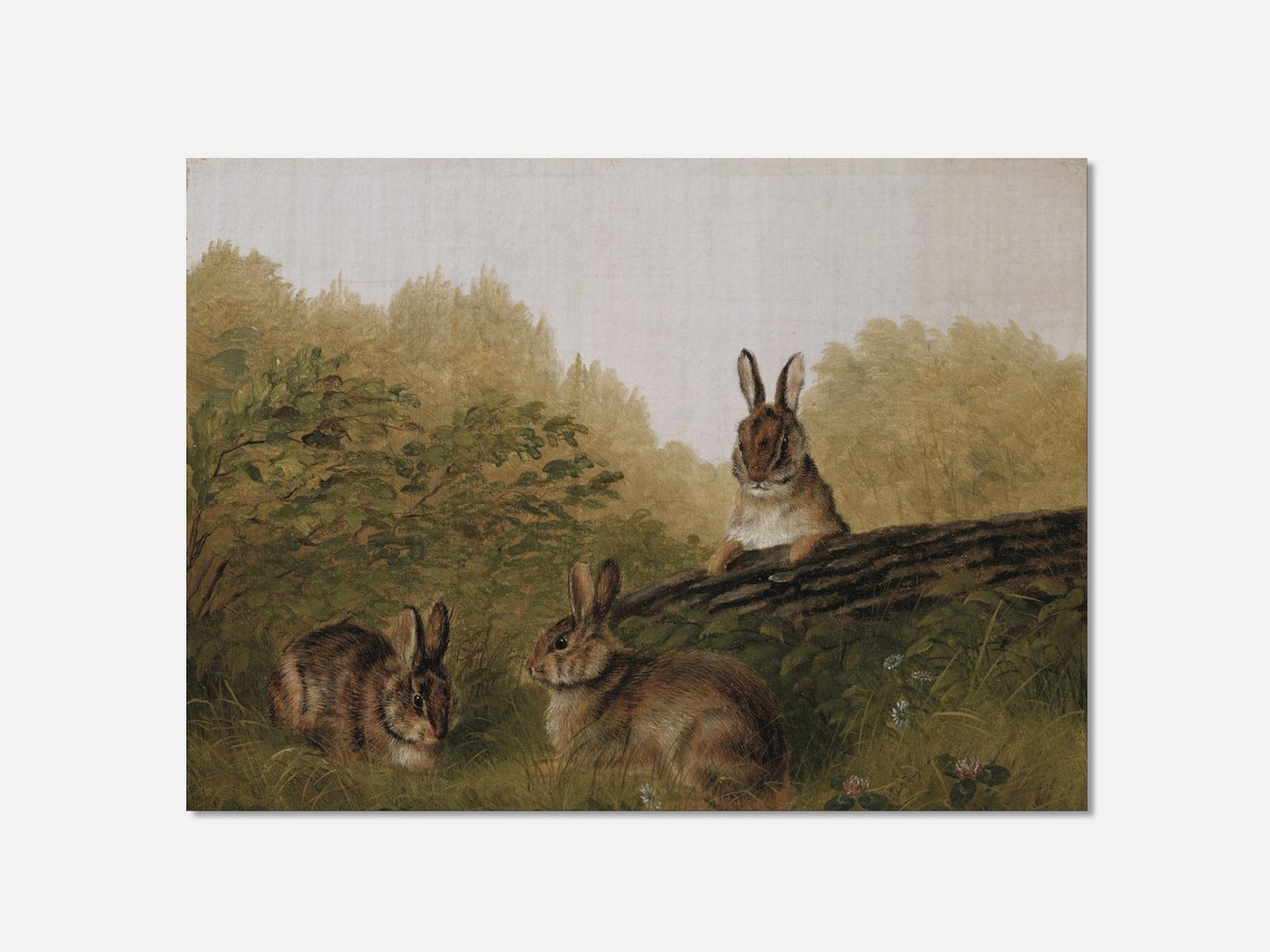 Rabbits on a Log mockup - A_ani2-V1-PC_AP-SS_1-PS_5x7-C_def