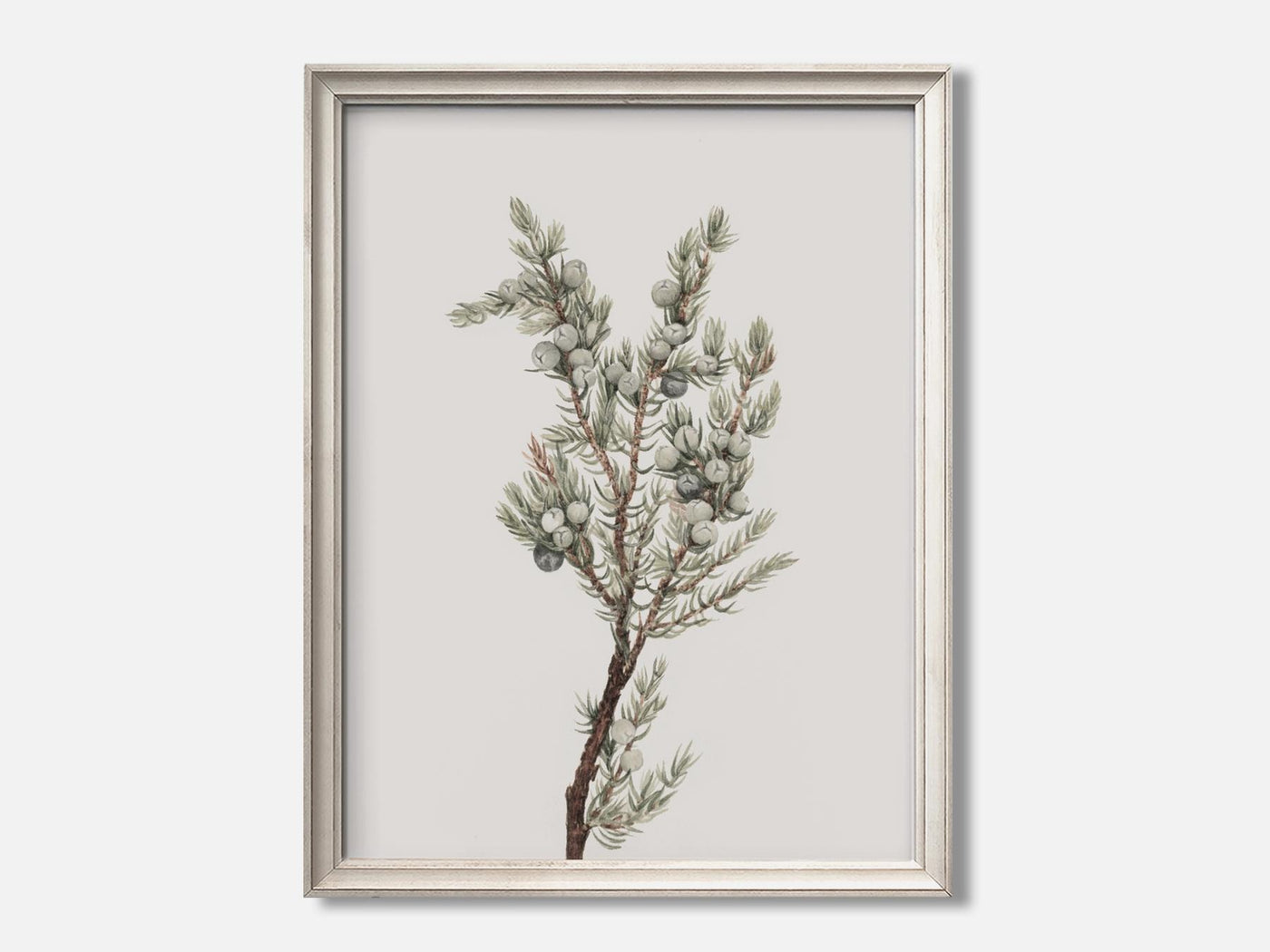 Mountain Juniper mockup - A_w54-V1-PC_F+O-SS_1-PS_5x7-C_def