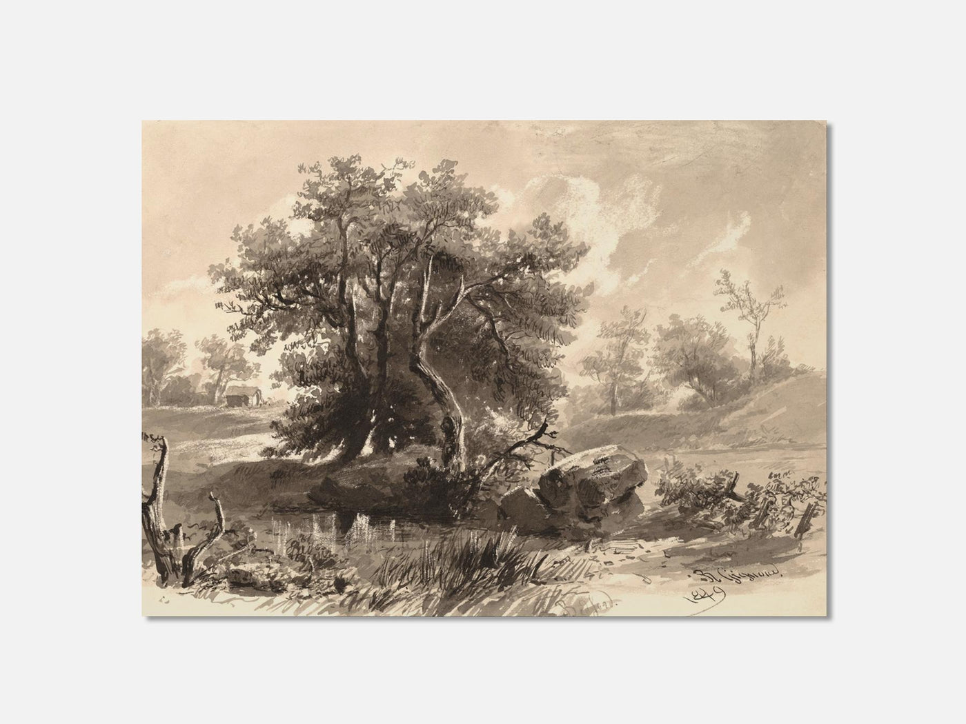 The Trees, Bedford, New York Art Print mockup - A_d38-V1-PC_AP-SS_1-PS_5x7-C_def variant