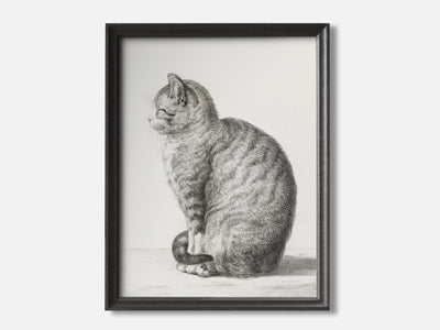 Sitting cat (1815) Art Print mockup - A_d4-V1-PC_F+B-SS_1-PS_5x7-C_def variant