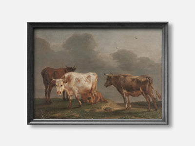 Four Young Bulls in the Pasture (1651) Art Print mockup - A_p5-V1-PC_F+B-SS_1-PS_5x7-C_def variant