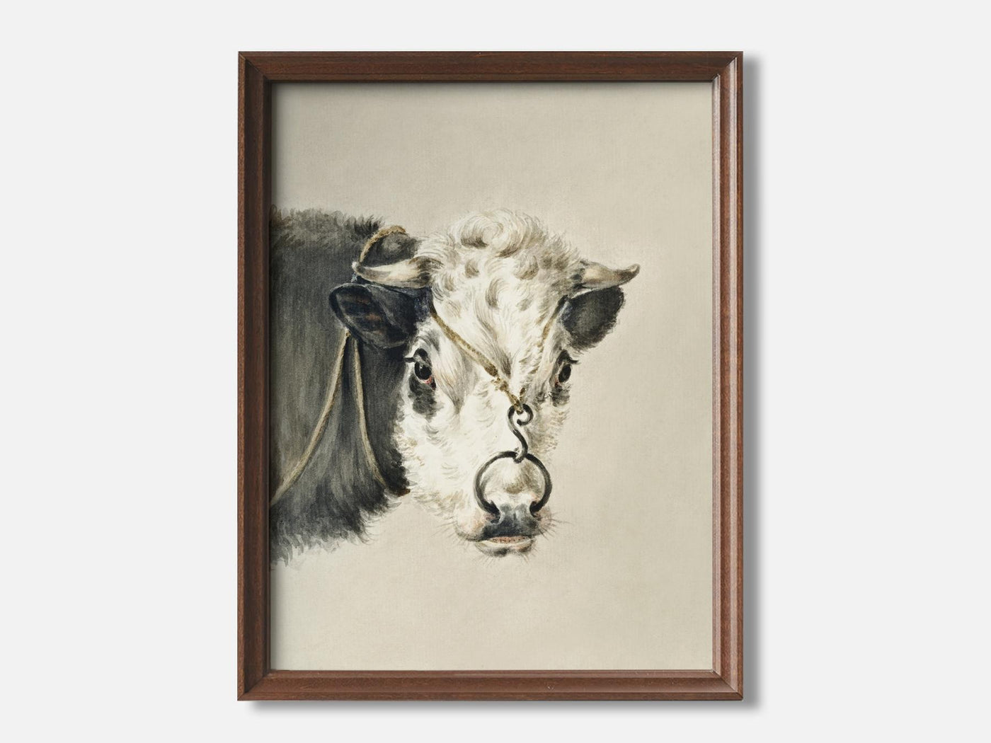 Head of a cow, with a ring through the nose (1820) Art Print mockup - A_d1-V1-PC_F+WA-SS_1-PS_5x7-C_def