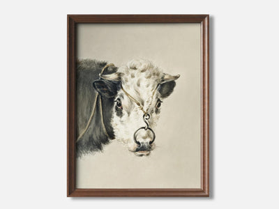 Head of a cow, with a ring through the nose (1820) Art Print mockup - A_d1-V1-PC_F+WA-SS_1-PS_5x7-C_def variant