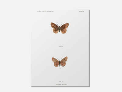 Meadow Fritillary Butterfly Art Print mockup - A_ani8-V1-PC_AP-SS_1-PS_5x7-C_def