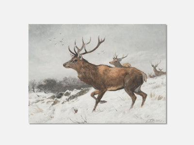 Stags in the Snow 1 Unframed mockup variant
