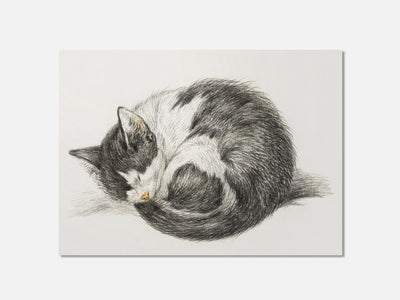 Rolled up lying sleeping cat (1825) Art Print mockup - A_d5-V1-PC_AP-SS_1-PS_5x7-C_def