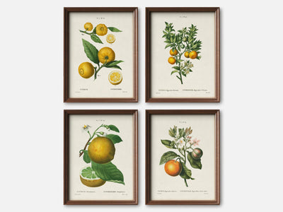 Citrus Print Set of 4 mockup - A_bot4-V1-PC_F+WA-SS_4-PS_5x7-C_lpa variant