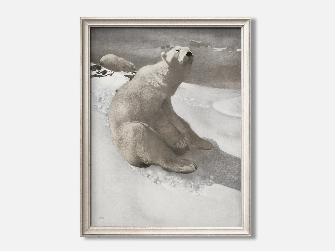 Sitting Polar Bear mockup - A_w2-V1-PC_F+O-SS_1-PS_5x7-C_def