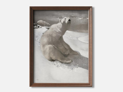 Sitting Polar Bear mockup - A_w2-V1-PC_F+WA-SS_1-PS_5x7-C_def variant