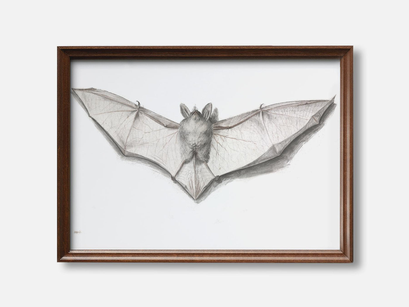 Bat with Outspread Wings mockup - A_h10-V1-PC_F+WA-SS_1-PS_5x7-C_def variant