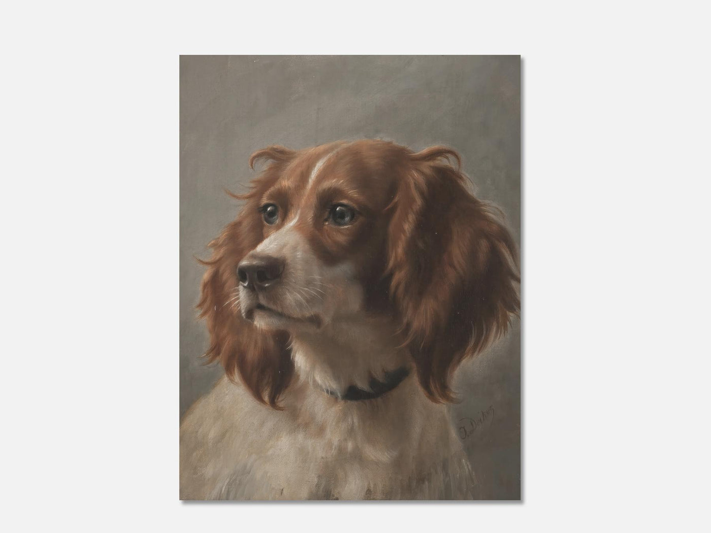 Portrait of a Spaniel mockup - A_ani1-V1-PC_AP-SS_1-PS_5x7-C_def