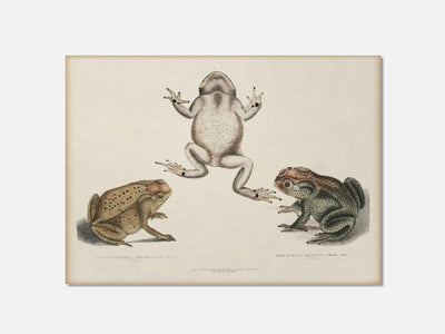 Keeled-Nosed Toads mockup - A_h29-V1-PC_AP-SS_1-PS_5x7-C_lpa variant