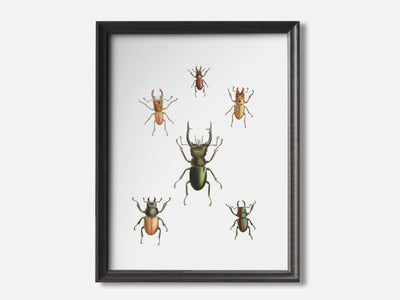 Stag Beetles mockup - A_h7-V1-PC_F+B-SS_1-PS_5x7-C_def variant