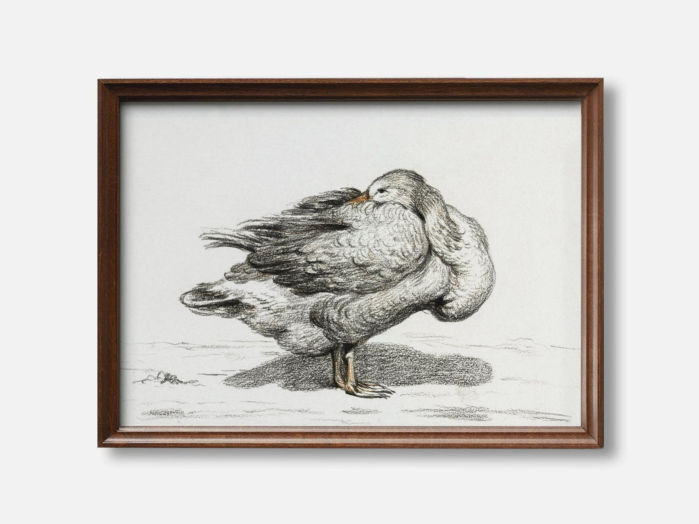 Goose (1816) Art Print mockup - A_d11-V1-PC_F+WA-SS_1-PS_5x7-C_def variant