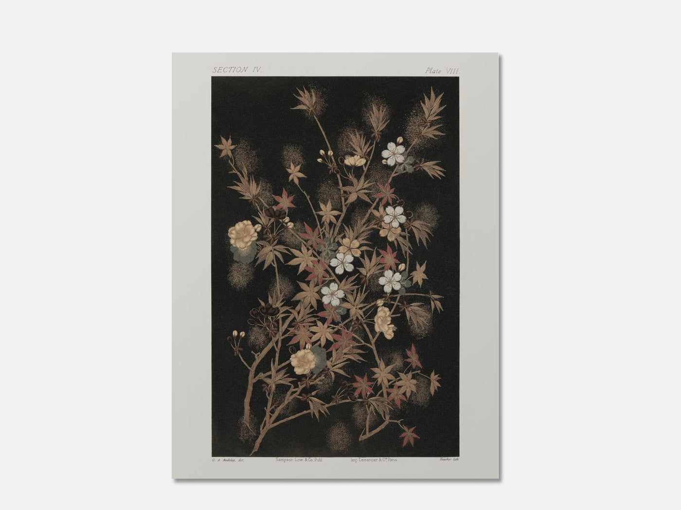 Japanese Autumn Flowers mockup - A_w21-V1-PC_AP-SS_1-PS_5x7-C_def variant