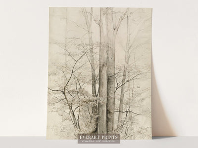 A Stand of Trees - Printable File - Everart