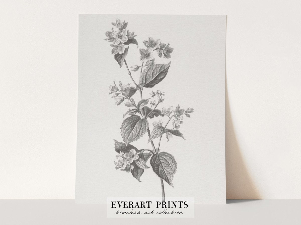 Farmer's Jasmine - Printable File - Everart