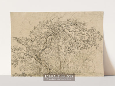 Grove of Trees - Printable File - Everart
