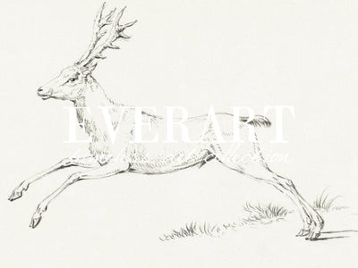 Jumping Deer - Printable File - Everart