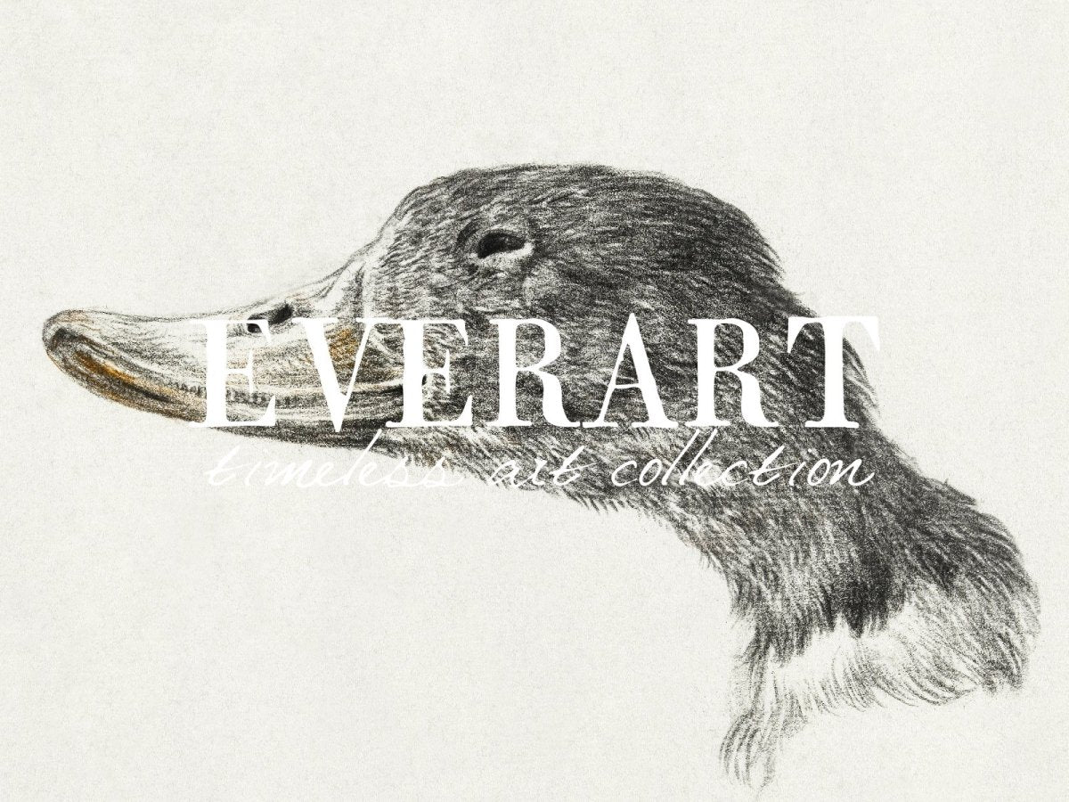 Shelduck - Printable File - Everart