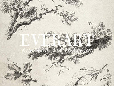 Study of Branches - Printable File - Everart