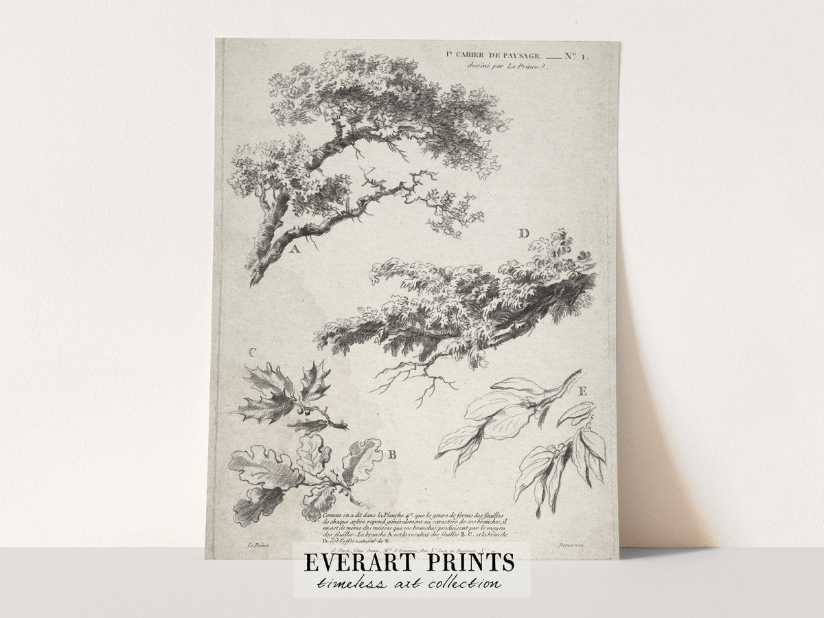 Study of Branches - Printable File - Everart