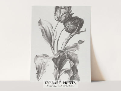 Tulip - Printable File - Everart